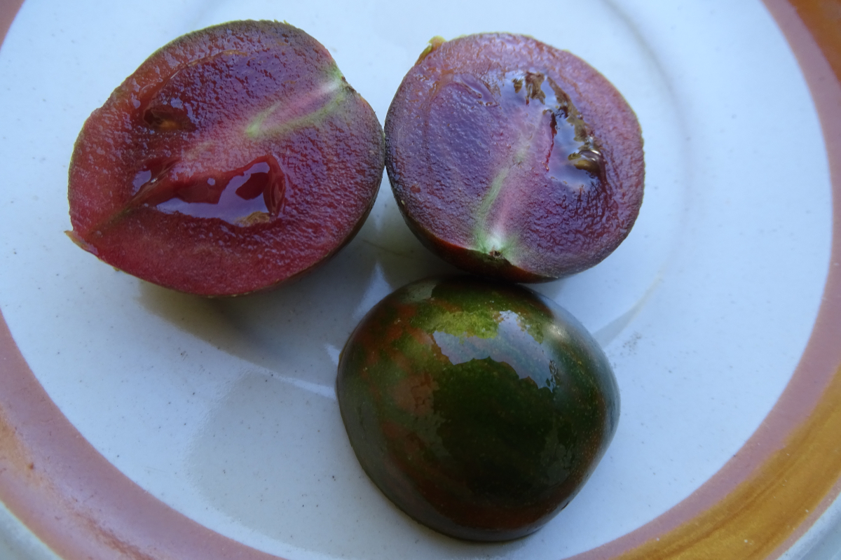 Turtle Grape tomato